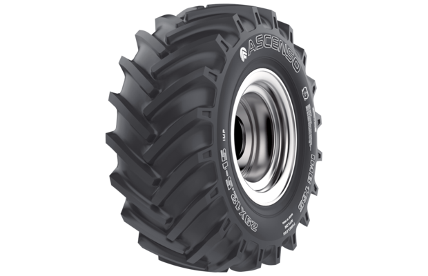 IMB 165 Ascenso (2).png