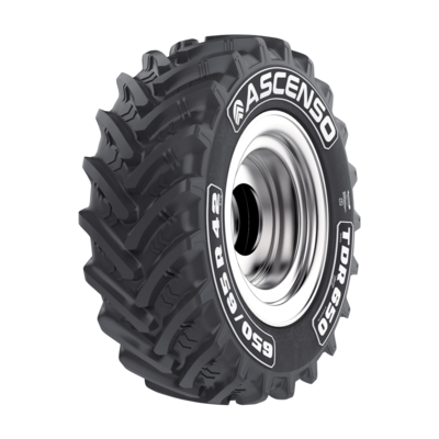ASCENSO_TDR_650-2.png