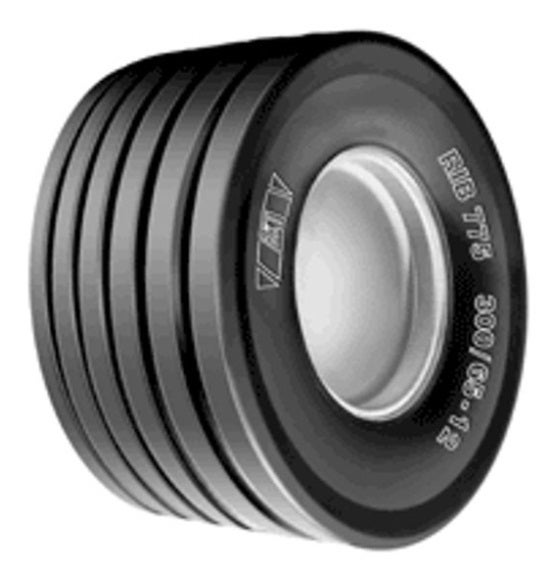 300/65-12 8PR TL RIB-775 